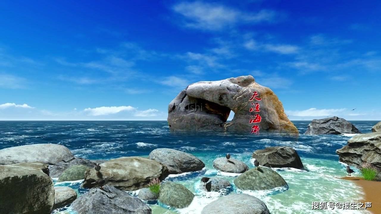 天涯海角的远与近_三亚_海南_生命