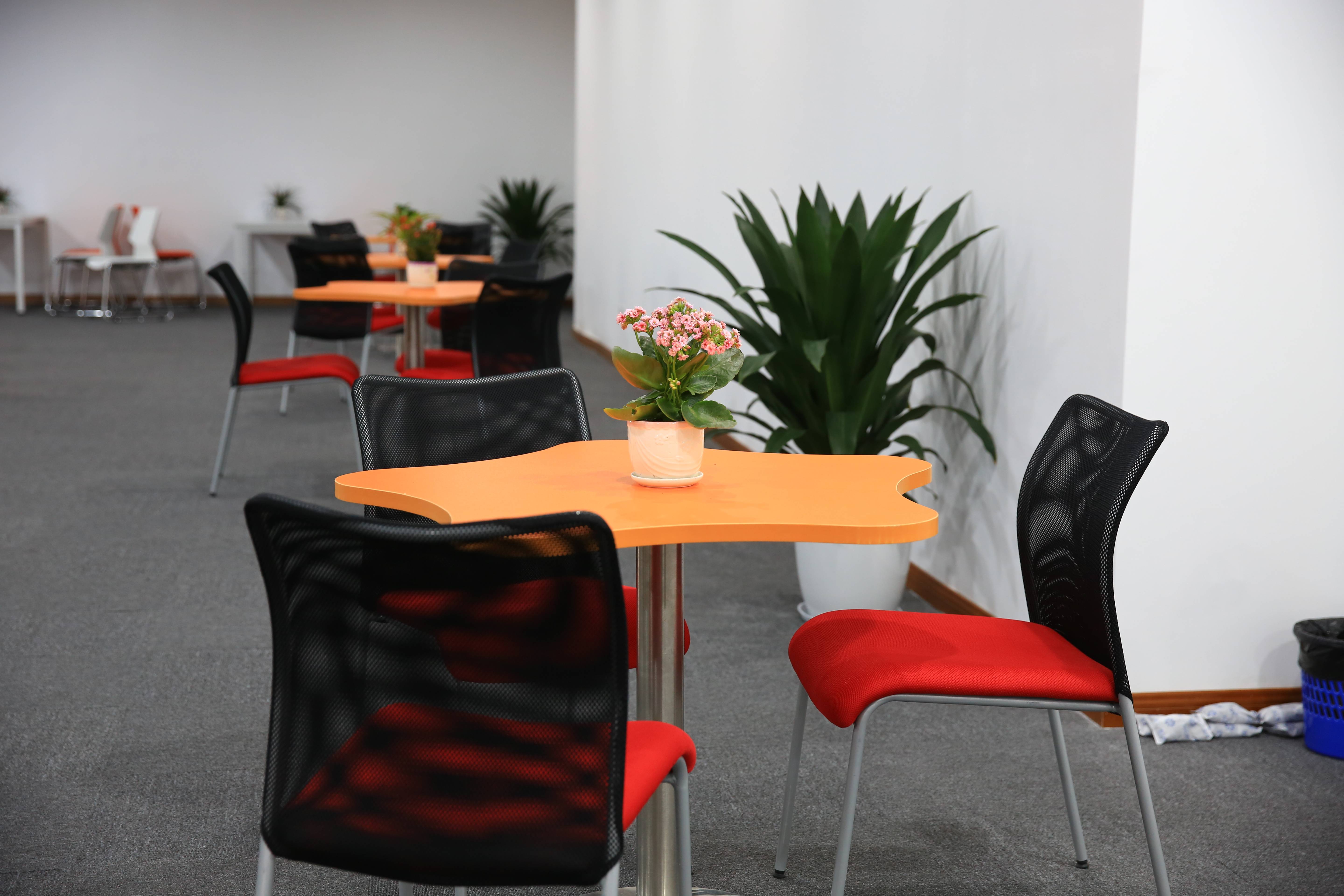 现代企业洽谈区域空间一角员工通过茶水补给,切换到舒适的空间办公