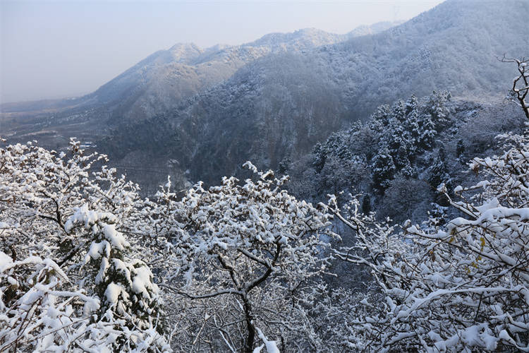 自驾美食蓝关古道徒步赏雪品暖胃牛肉泡馍