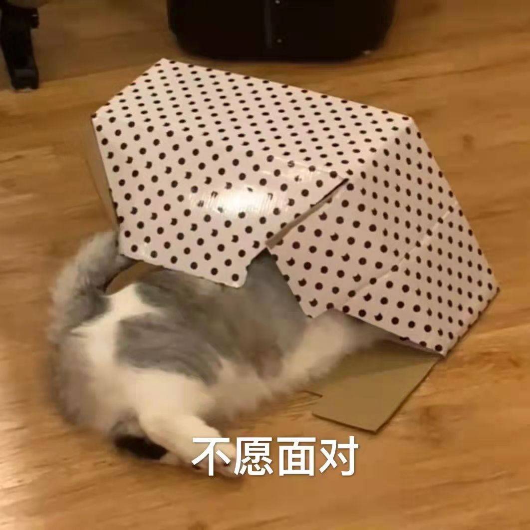 什么|猫咪零食 | 如何喂零食+行为训练+挑选零食