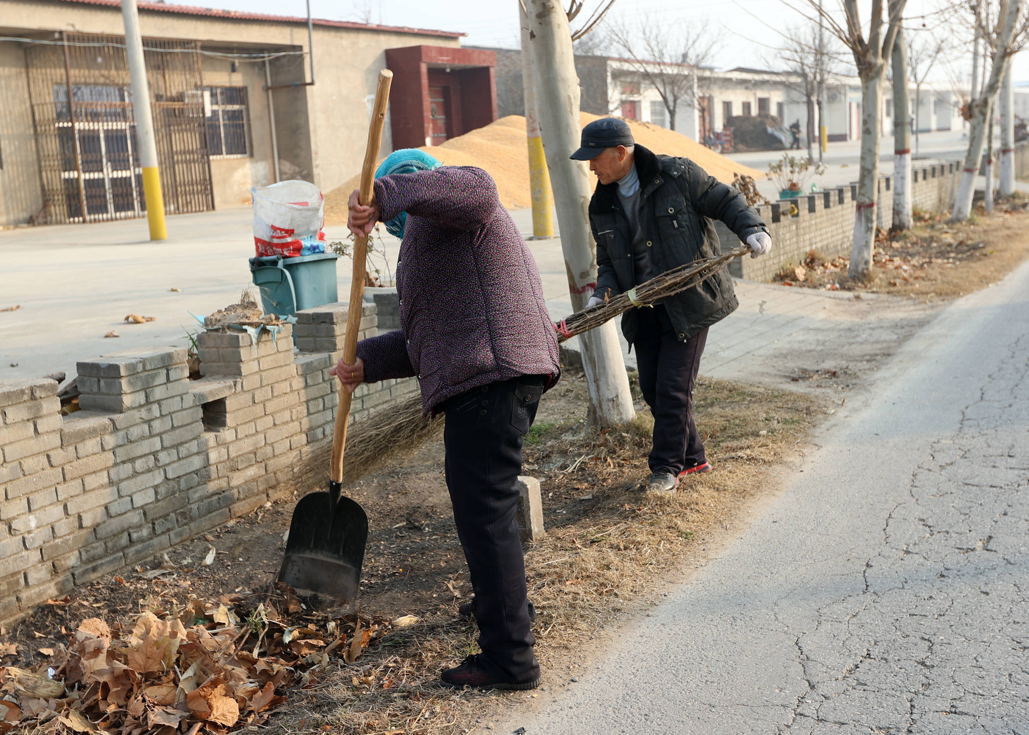 陕西大荔县韦林镇人居环境整治让村子靓起来