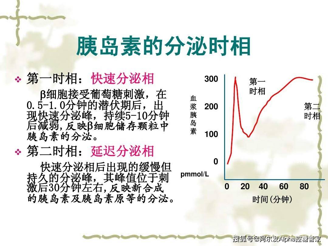 功能|《短期胰岛素强化治疗逆转2型糖尿病专家共识》摘要