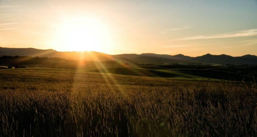 家用中央空调未来2年内必有一场恶战-家电圈官网