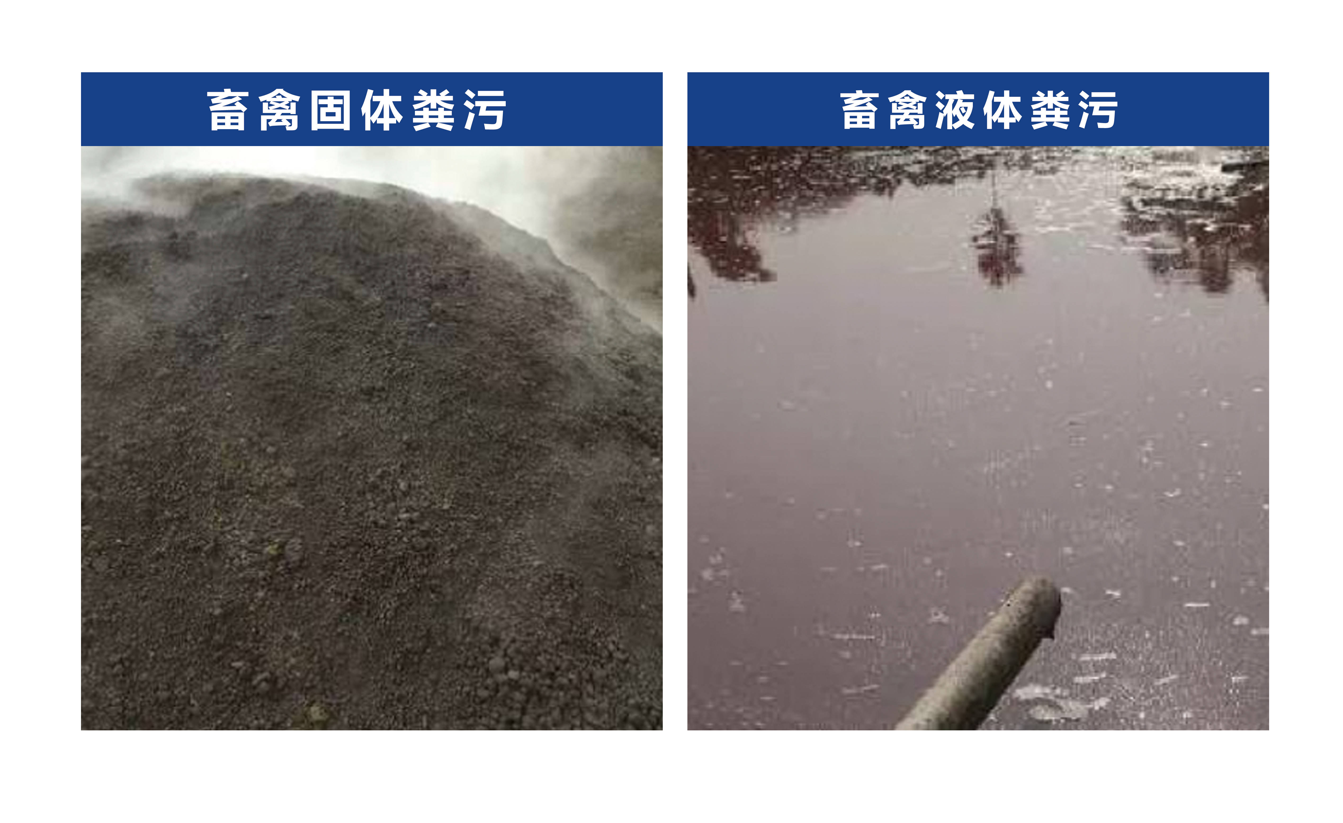 按照固体粪污与液体粪污进行技术分类,中海环境为农业面源污染综合