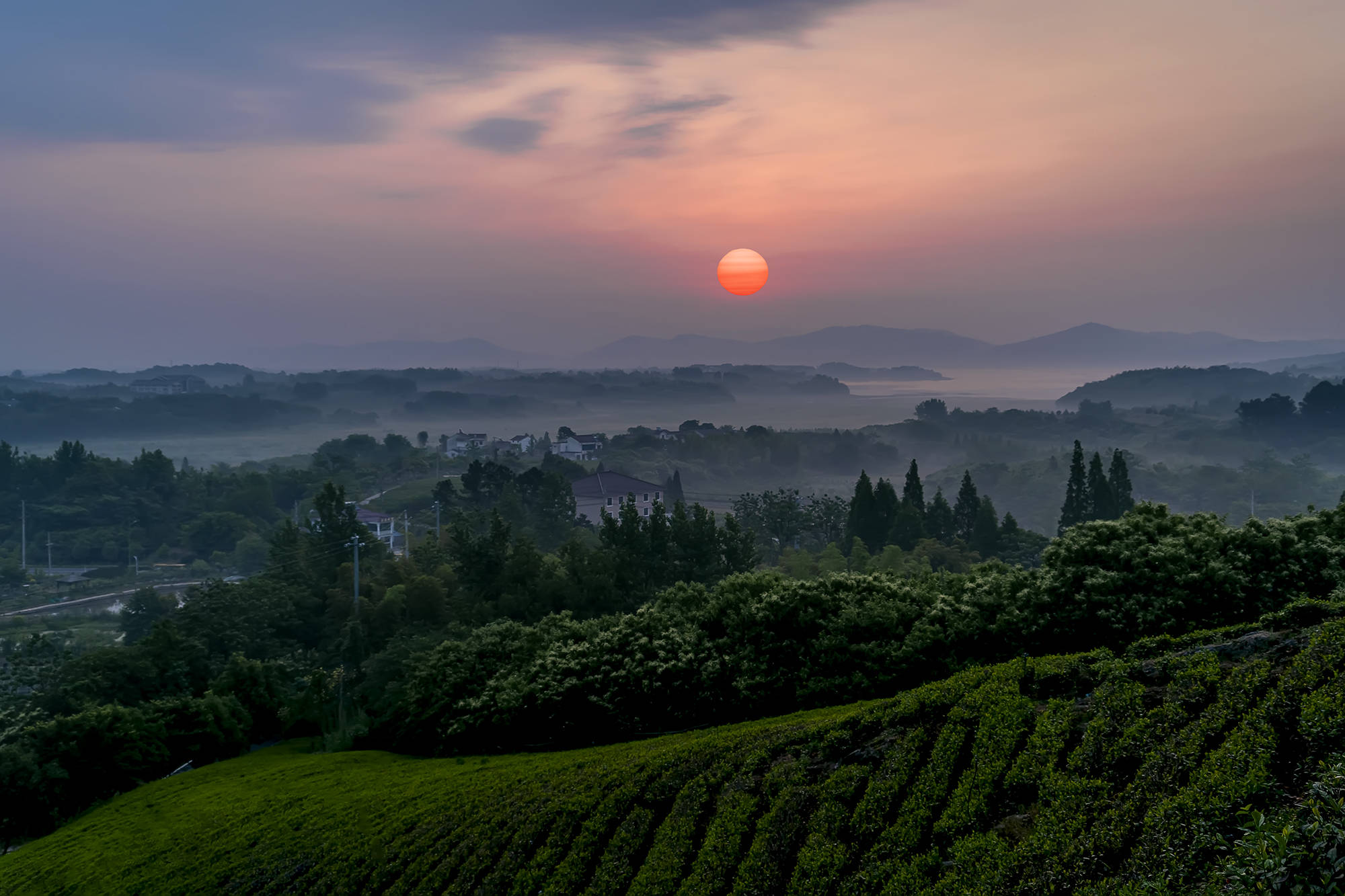 安徽省_江苏省_上海南站