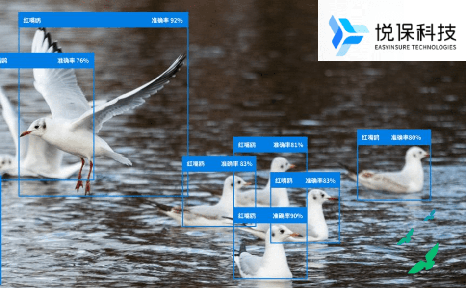 ai鸟类识别实现自然生态环境数字化监测