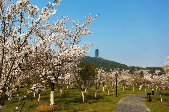 苏粤两省高院掐架最高法三巡护短何太急