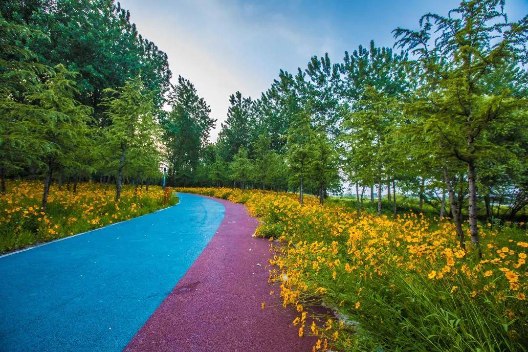 公园城市廖家沟城市中央公园扬州的伟大复兴