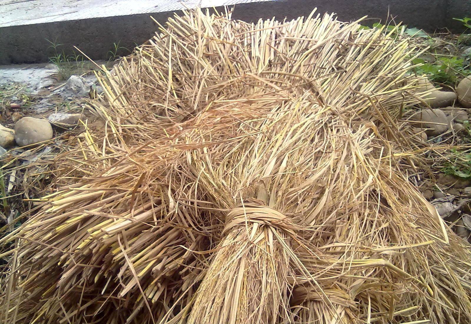 秸秆甘蔗渣树叶等堆肥腐熟发酵方法