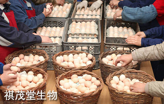 2021鸡蛋价格天天报价网 e883446286184517966b8aa7327ceba3.jpeg