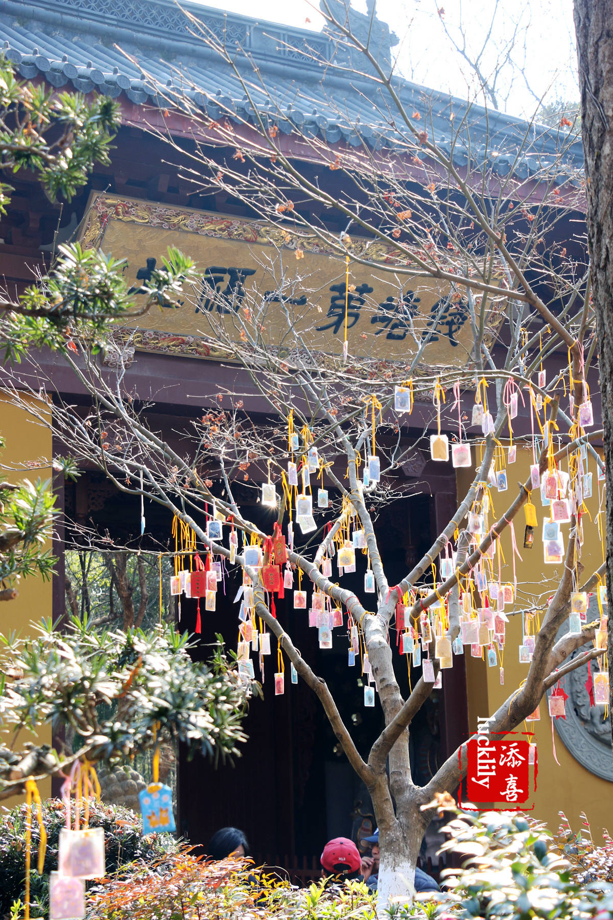 大雄宝殿|2022年元旦，灵隐永福寺新年登山祈福游