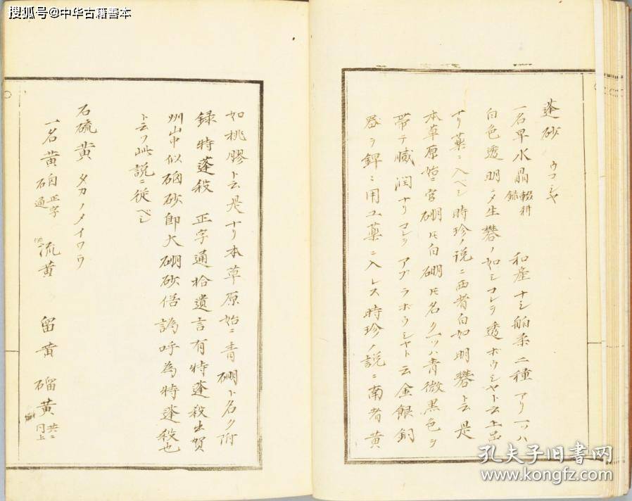 山草|本草图汇：19世纪日本写绘本