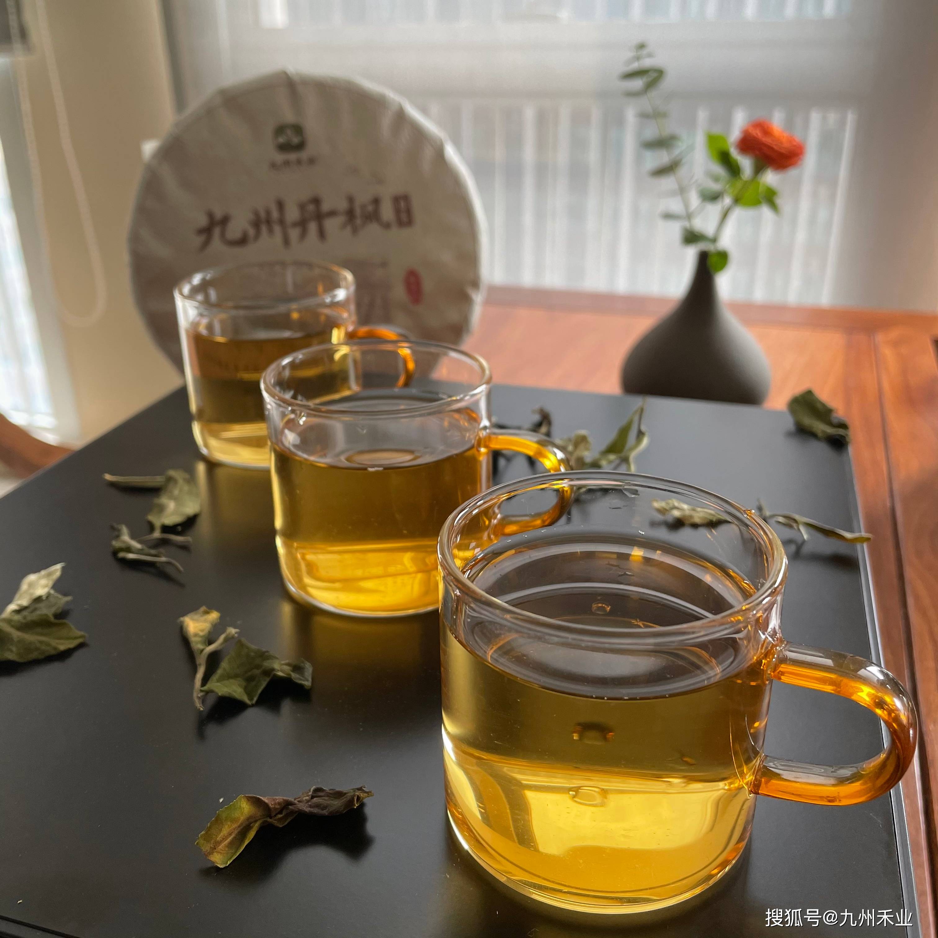 茶叶|茶说 | 九州禾业白茶之玻璃杯冲泡篇