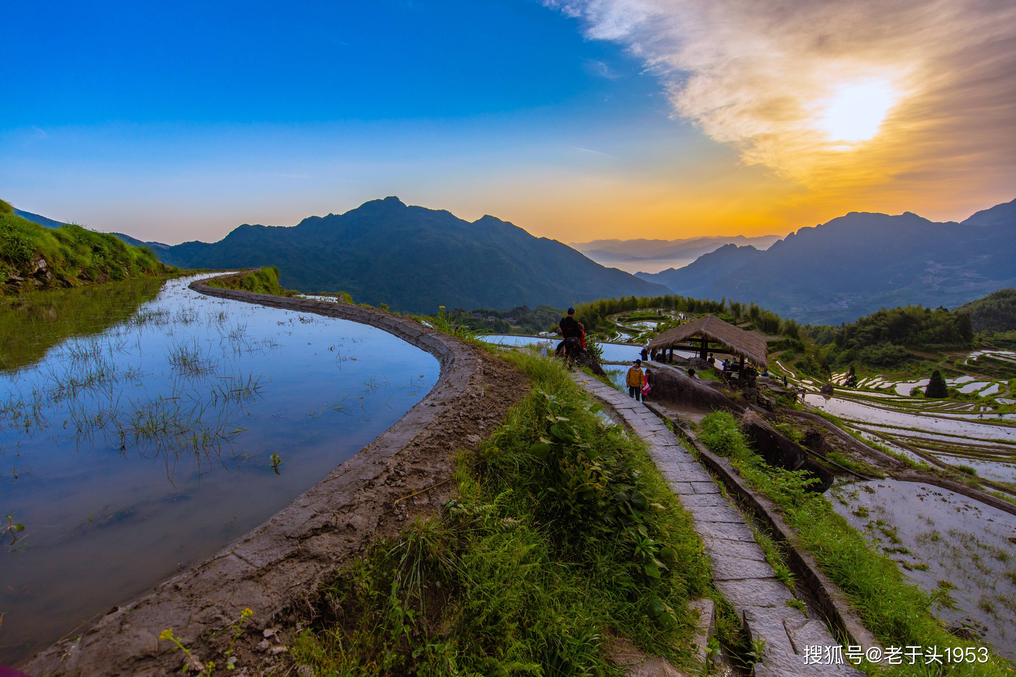 中國最美梯田浙江麗水雲和梯田