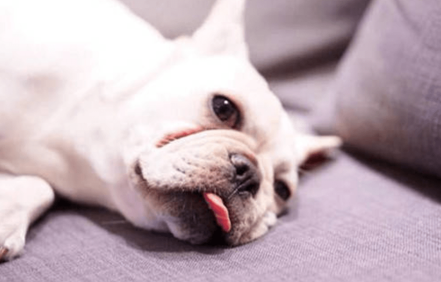3b05138353eb4ca8975e21b9bdd20f2f.png