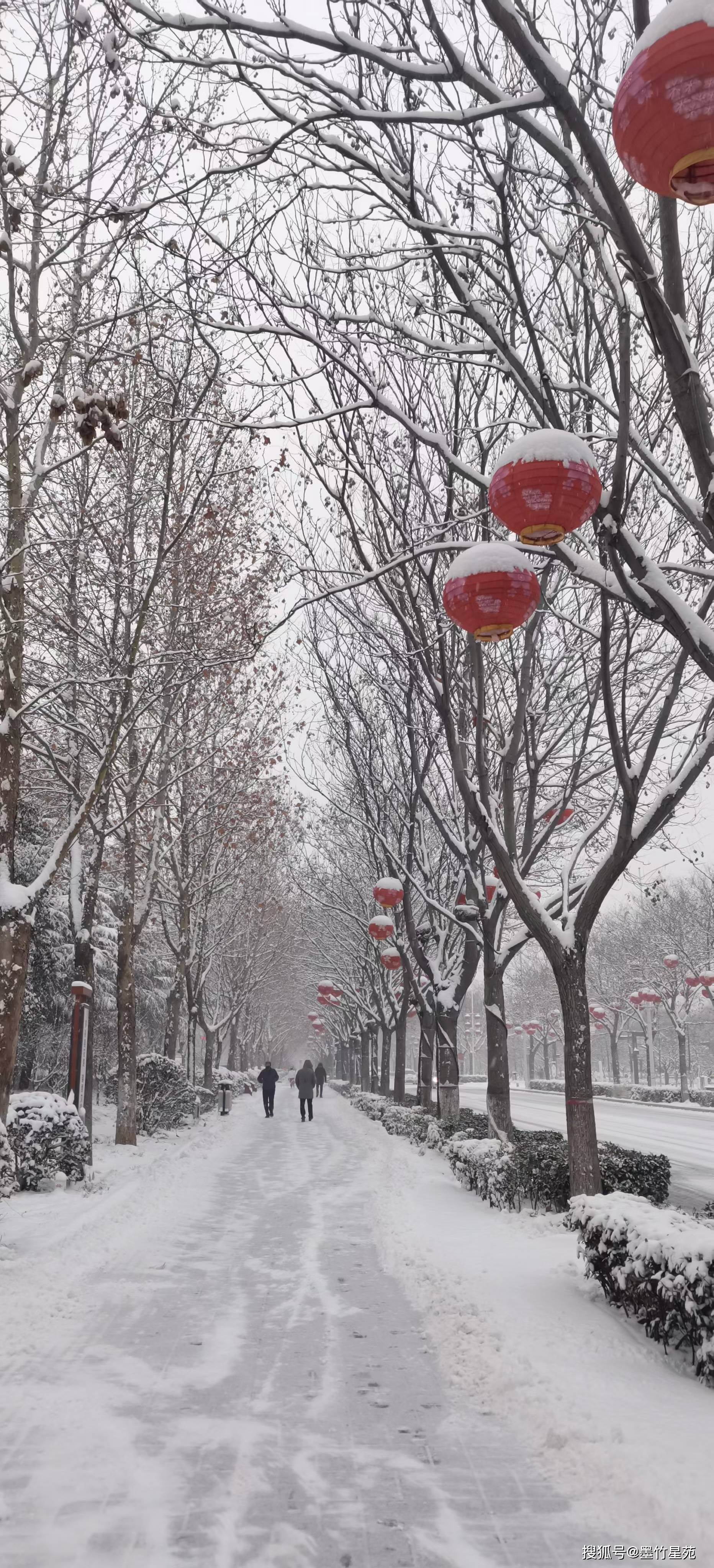 款款深情|【墨竹】多彩的雪