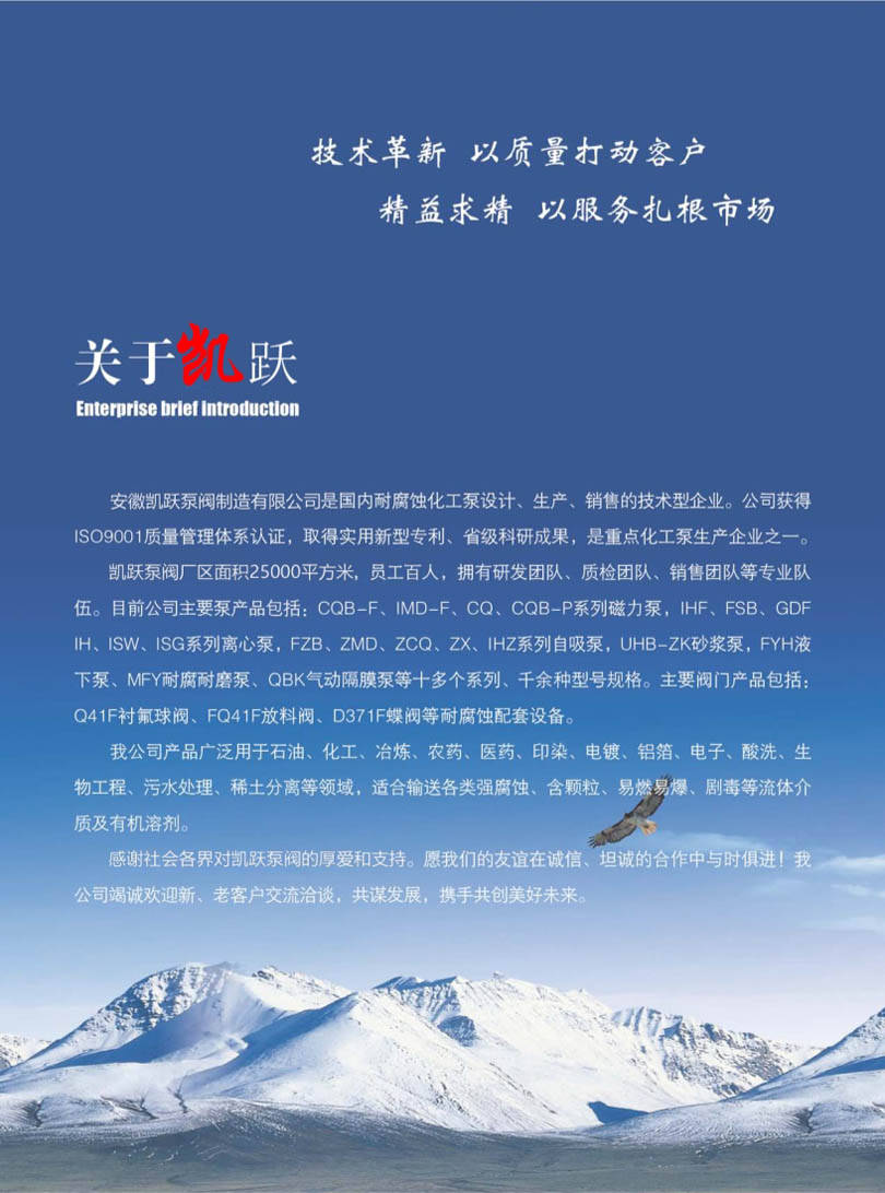 安徽凯跃泵阀有限公司产品说明书