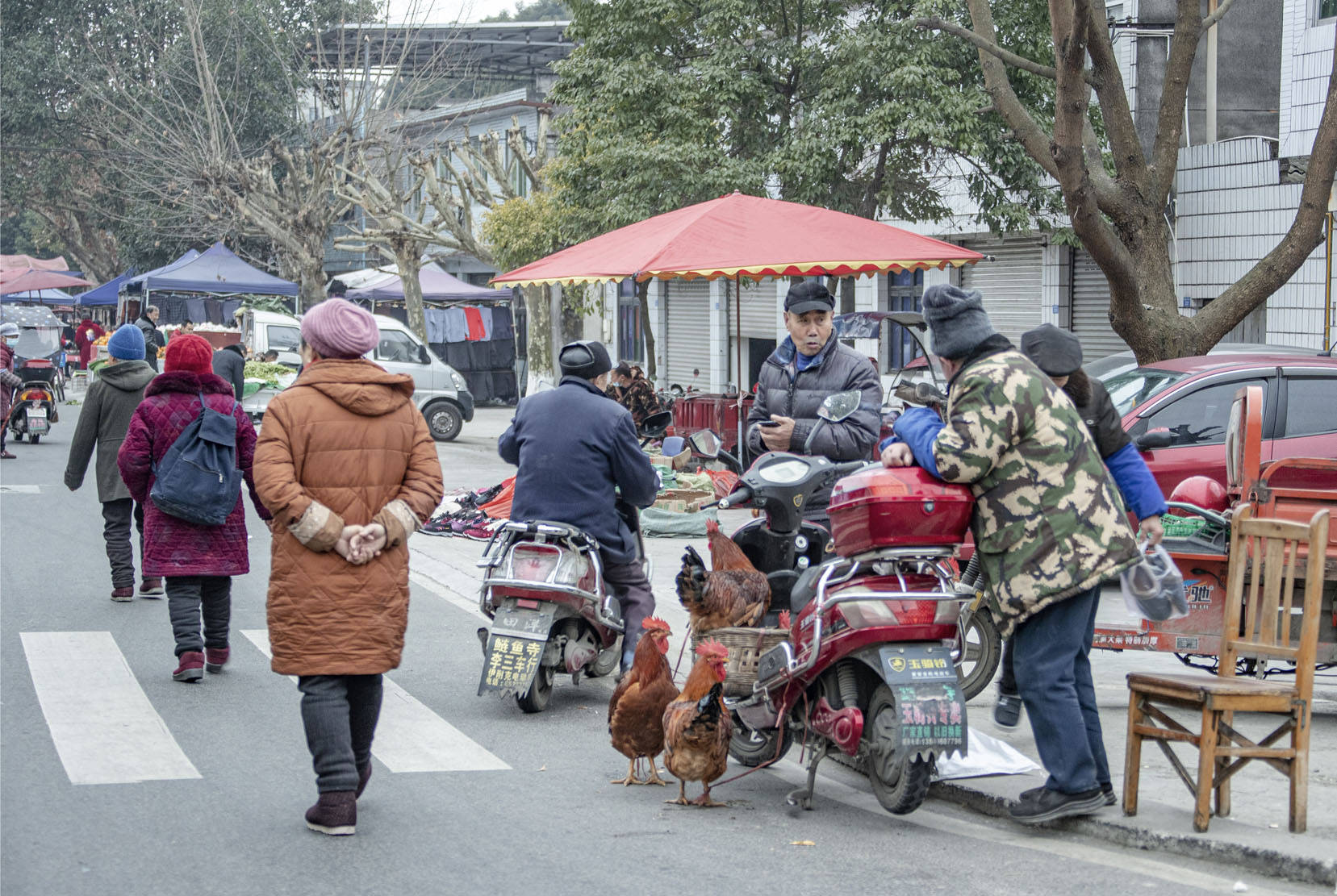 成都彭鎮鰱魚社區:紅紅火火趕大集_雙流_趕場日_劉國興