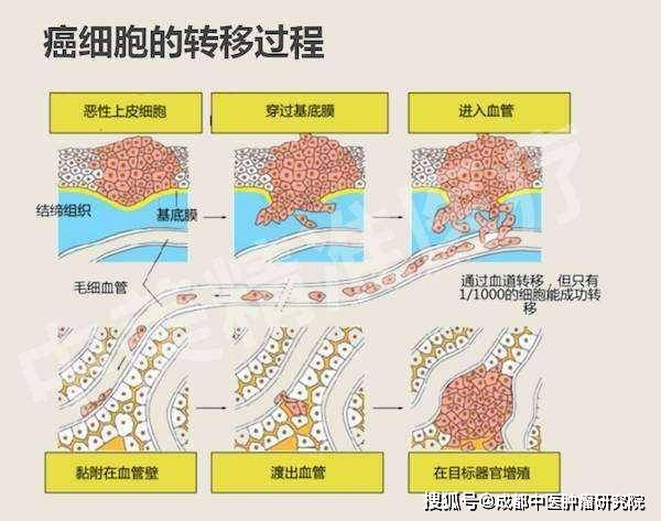ef875a9f37024c599f8dc41c0a04eced.jpeg
