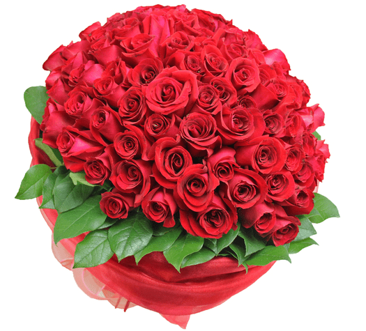 12个生日月份的诞生花 寿星 风信子 魅力