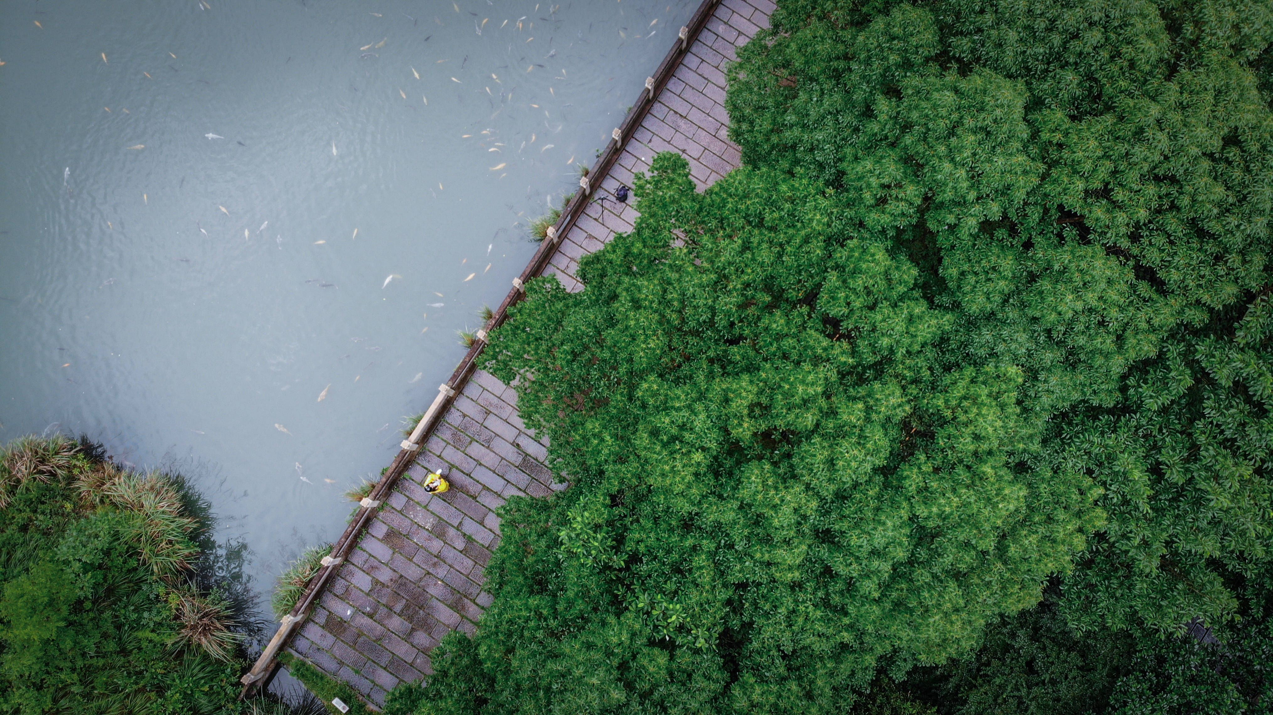 景区|浙江仙都，丽水首个5A级景区，五大景区各有特色