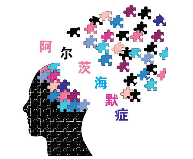 中科安泰【肽知识】:活性肽与老年痴呆_阿尔兹海默_神经_功能