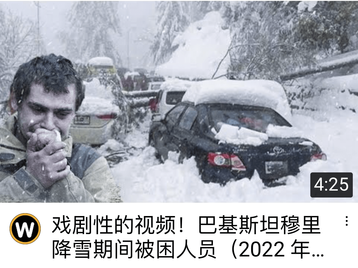 拜登|残酷的雪景，惨兮兮的美感