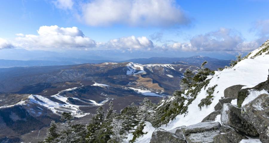 去代理商去代运营商，家电企业未来市场要全面直营化?-家电圈官网