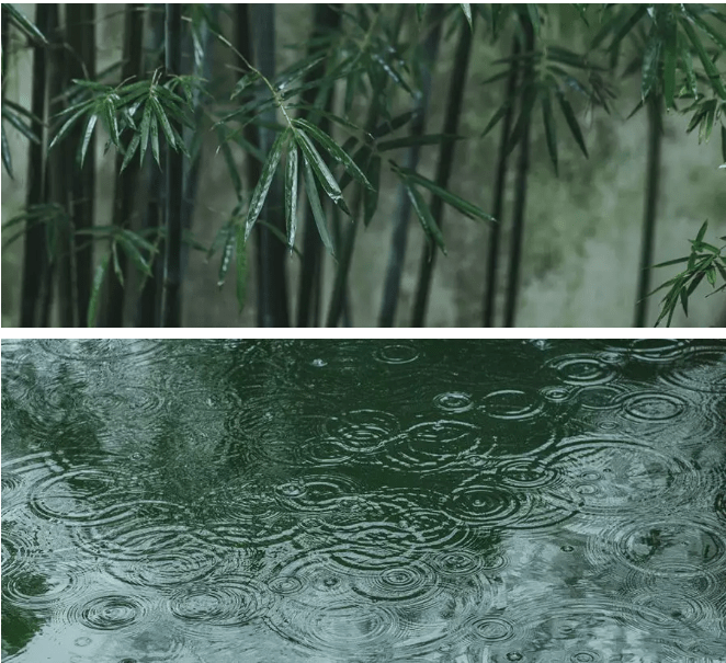 春雨绵密,千万根细丝挨在一起齐齐落下,沙沙作响,像织了一张柔软的绒
