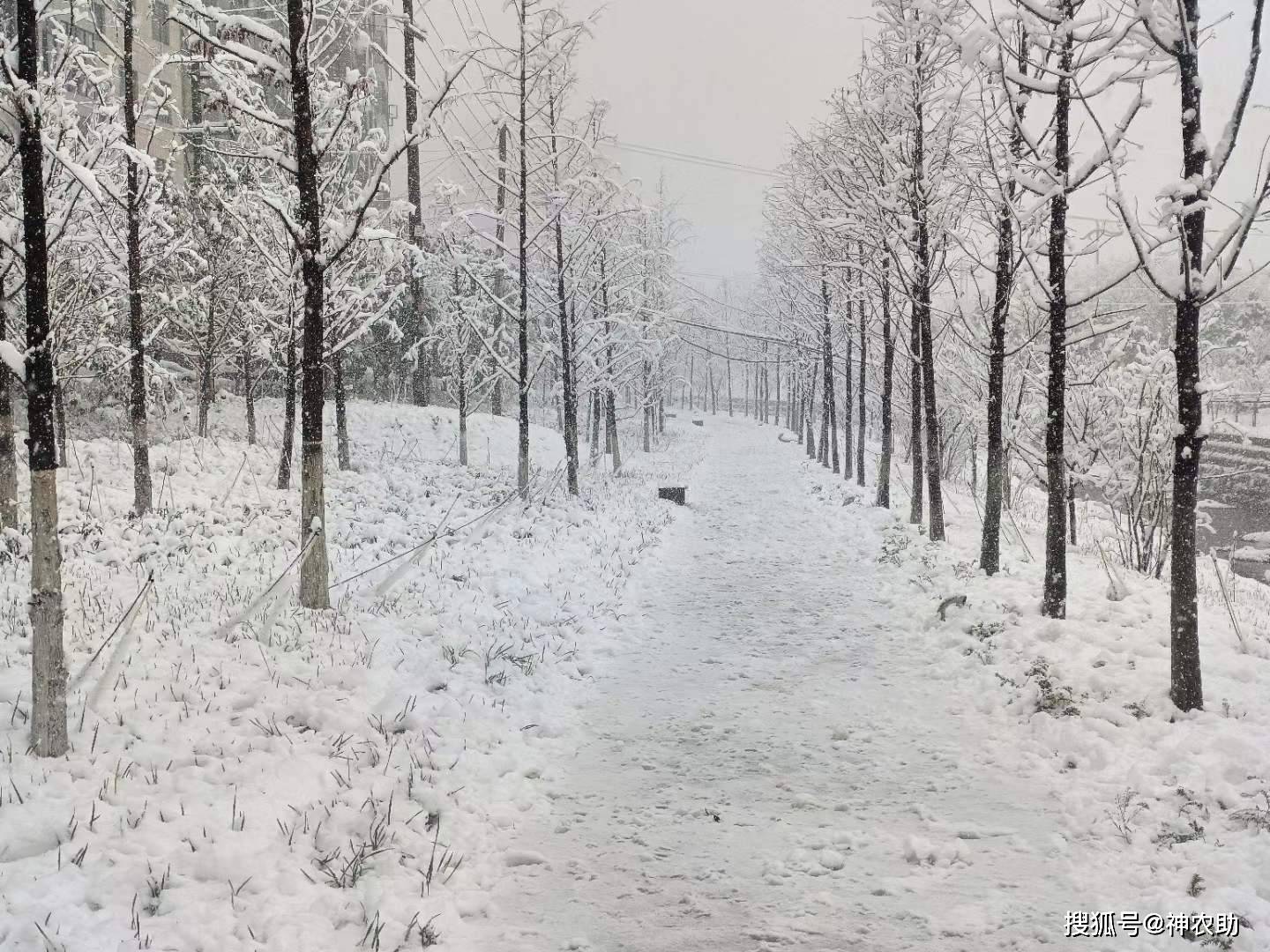 农历|【神农助】如果红酒有邂逅，那么可能是美食吧