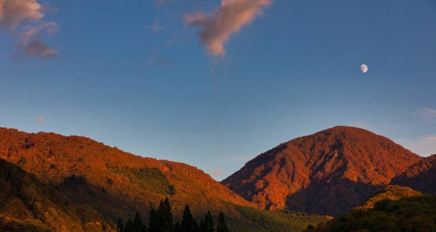 如何在传统家电业走出发展新道路？-家电圈官网