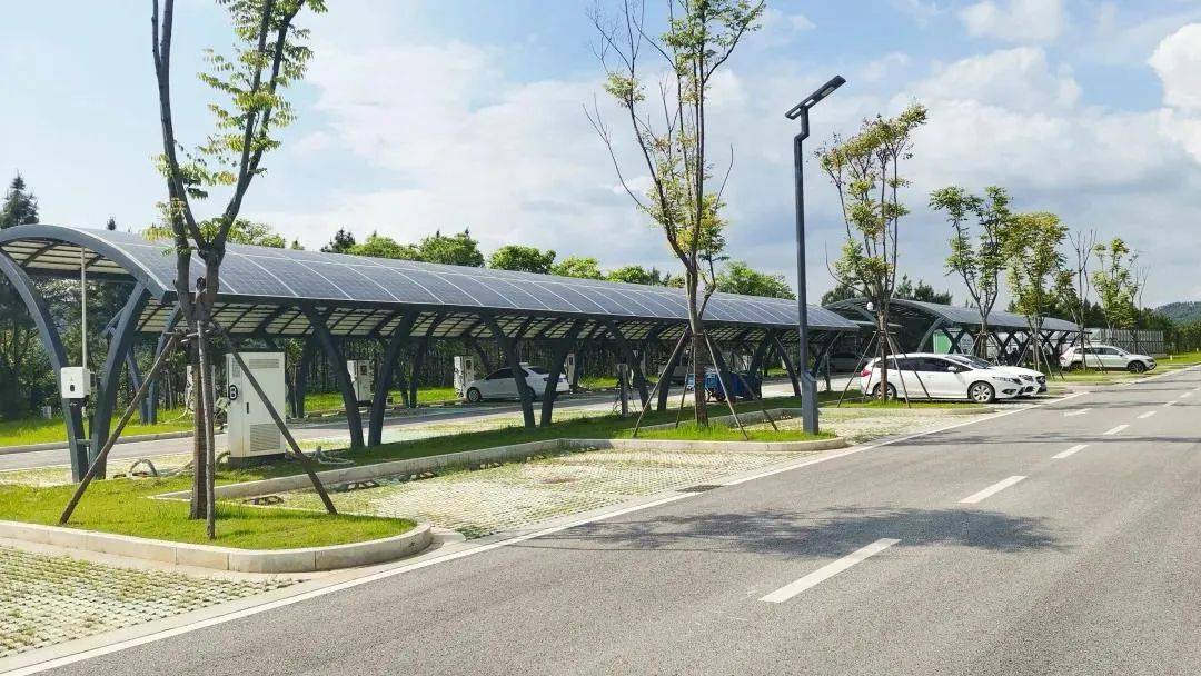 国内洁具排行榜_施正荣:相信,相信的力量