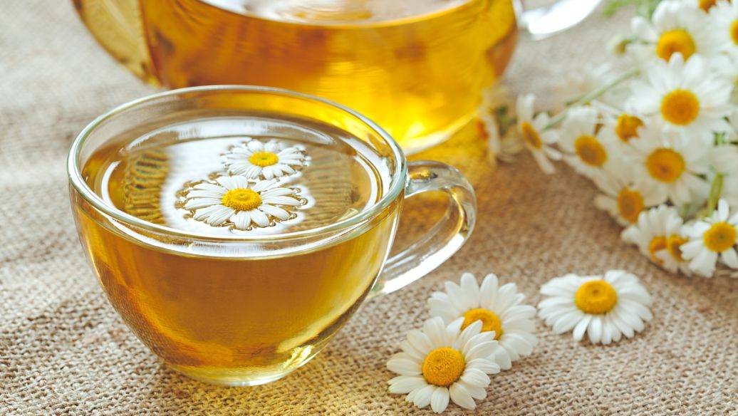 养肝护肝好茶系列三——菊花蜜饮_蜂蜜_物质_梁尚奎