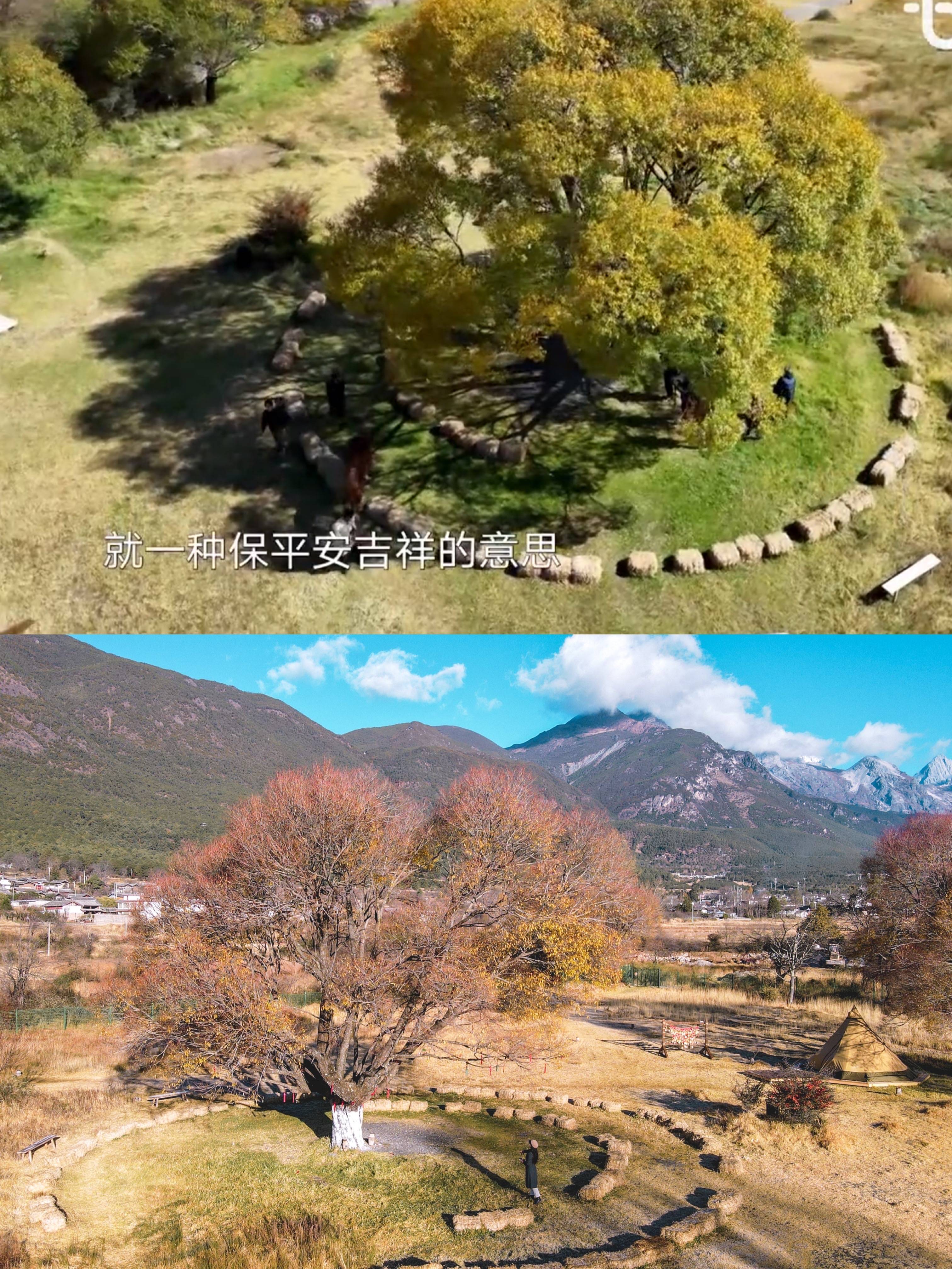 景点|丽江雪山脚下的小众景点，还是《一路唱响》拍摄地，至今免费开放