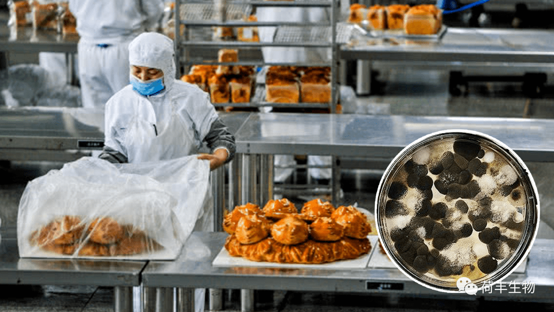 食品厂霉菌超标污染后怎么彻底解决