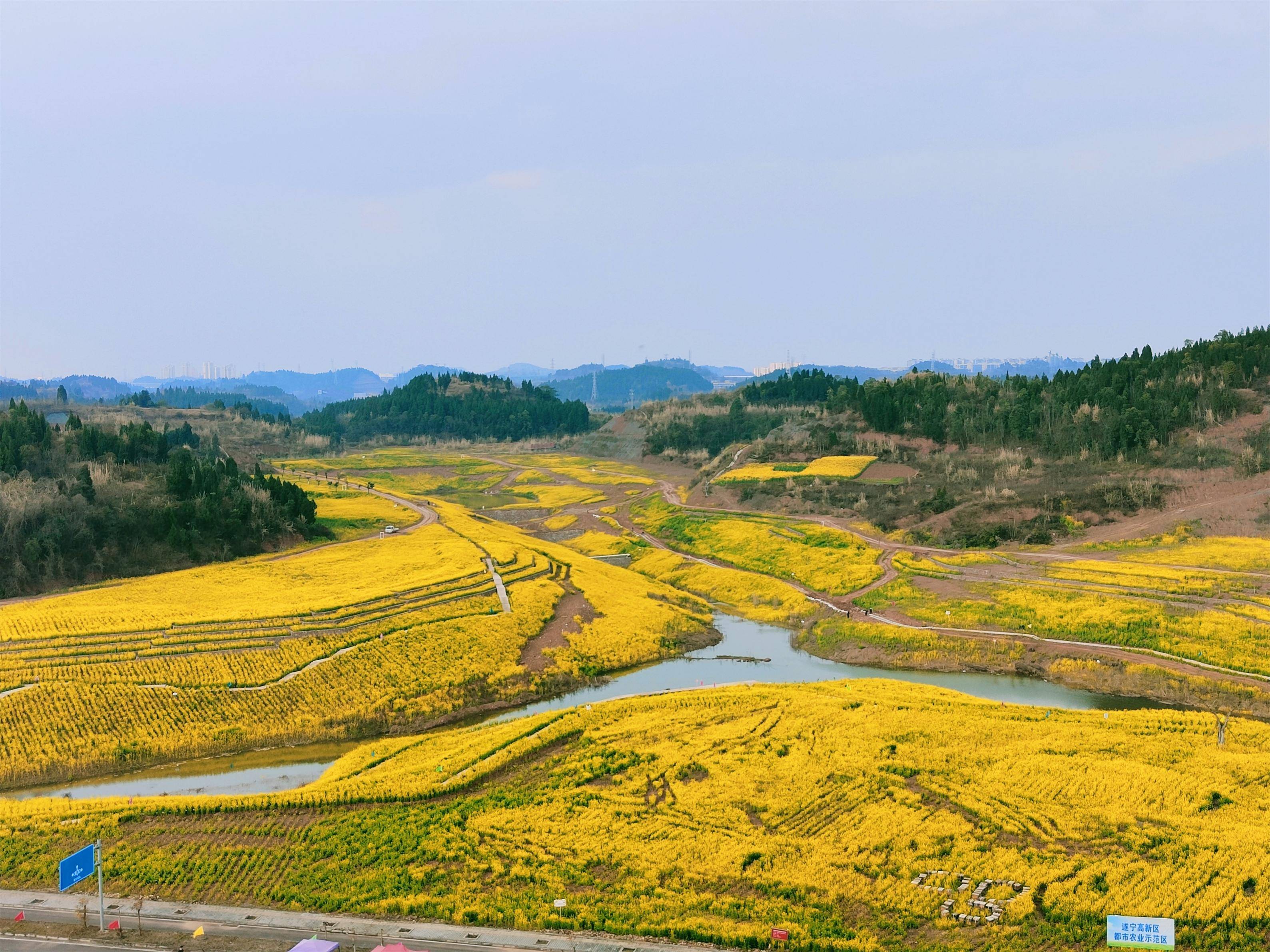 遂寧高新區首屆