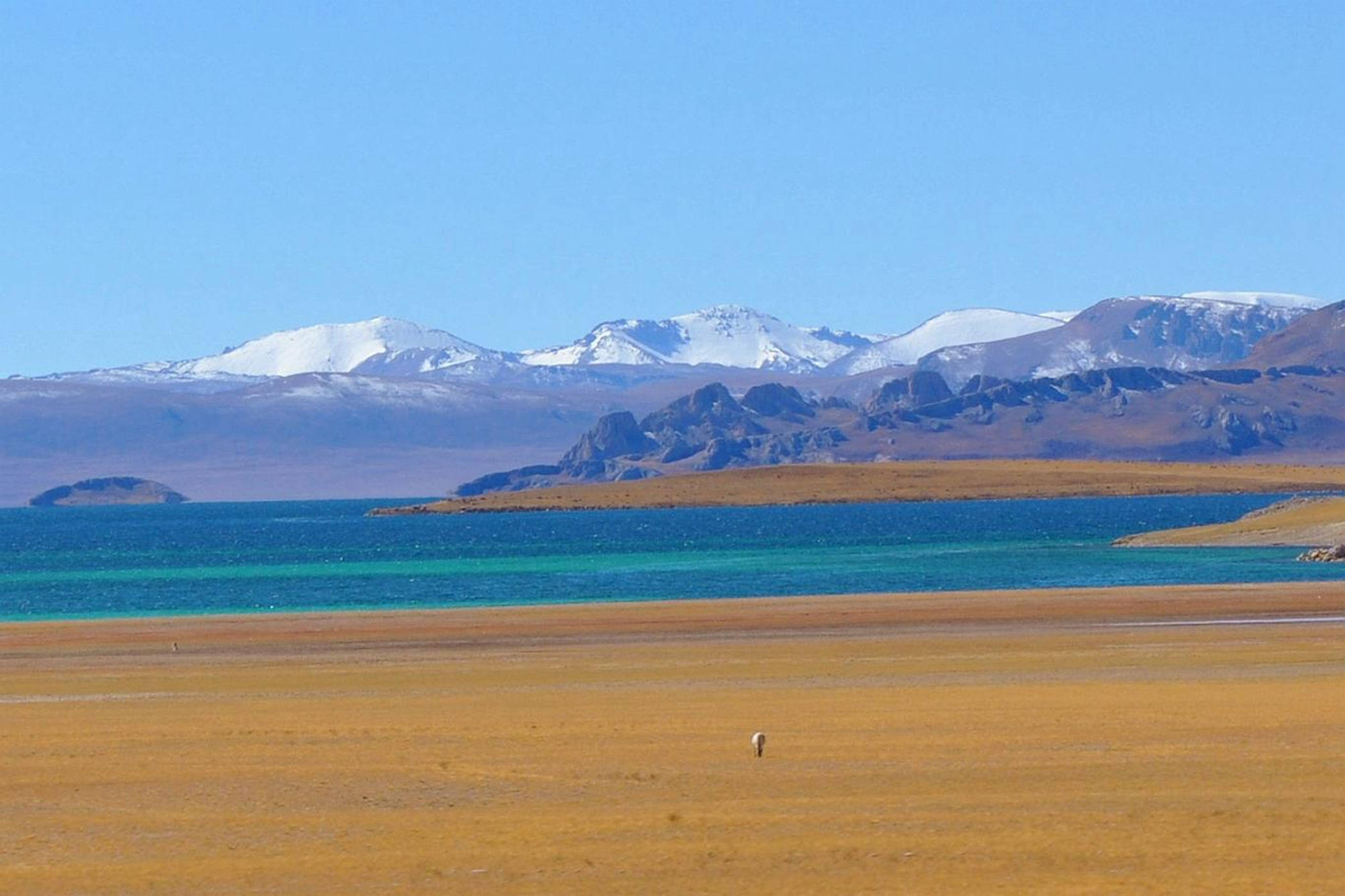 西藏面积最大魔湖深锁闺阁人未识的色林措与错鄂鸟岛