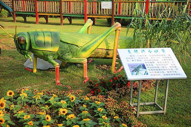 巨型仿真昆虫亚马逊昆虫道具各类展示效果