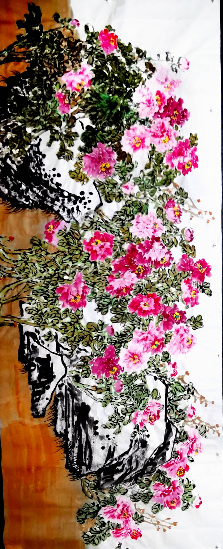 民族|与花同乐——云南民族画院青年画院院长·赵寒