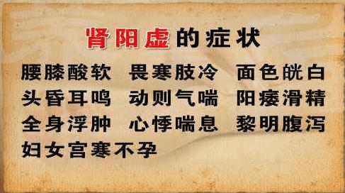 肾阳虚和肾阴虚有什么区别症状该如何调补