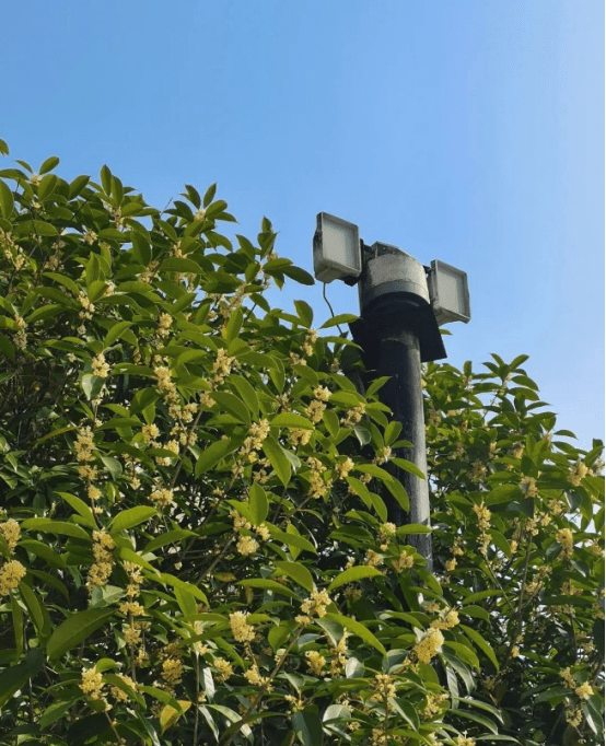 高清大图来袭长江大学最美校花亮相