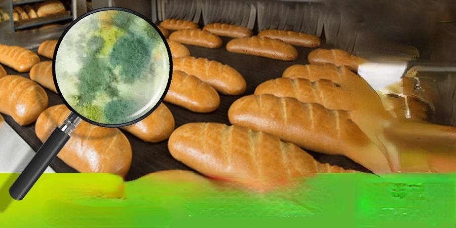 人员,设备,环境受到污染和消毒不彻底导致,将细菌带入食品中,导致微