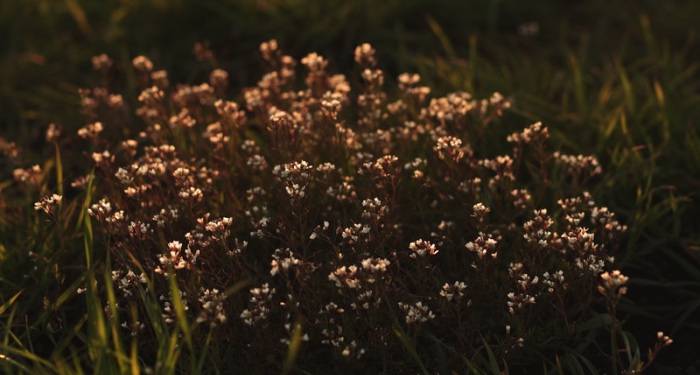 高端套系和下沉渠道，真的能拯救家电厂商于水火吗？-家电圈官网