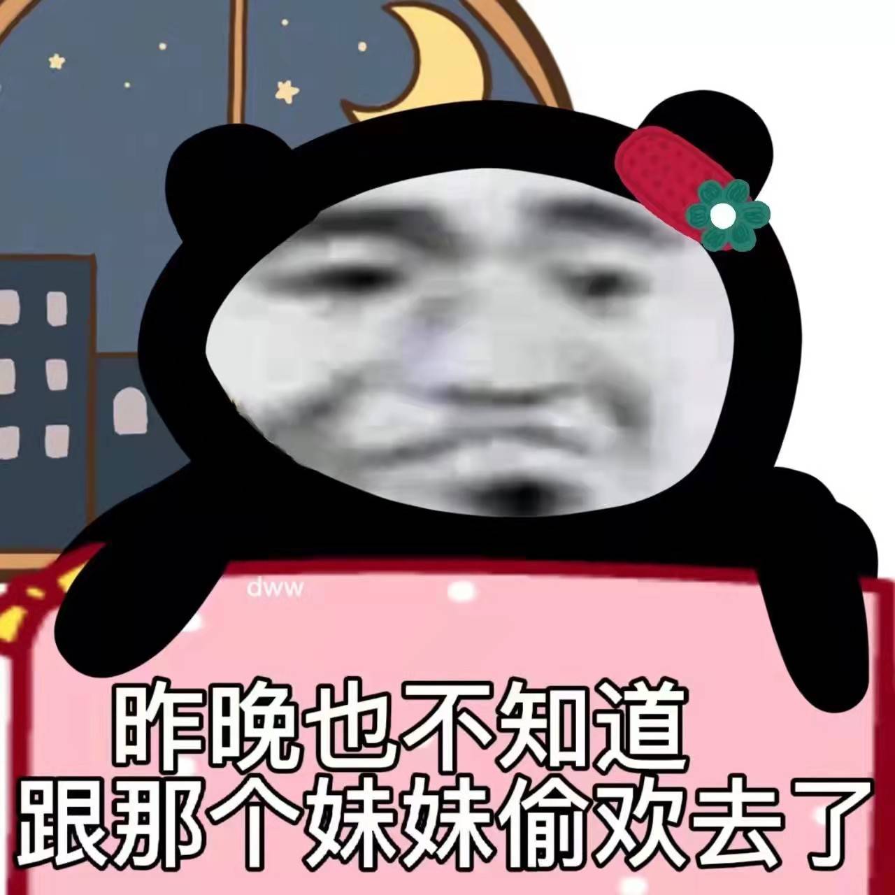 熊猫表情包合集