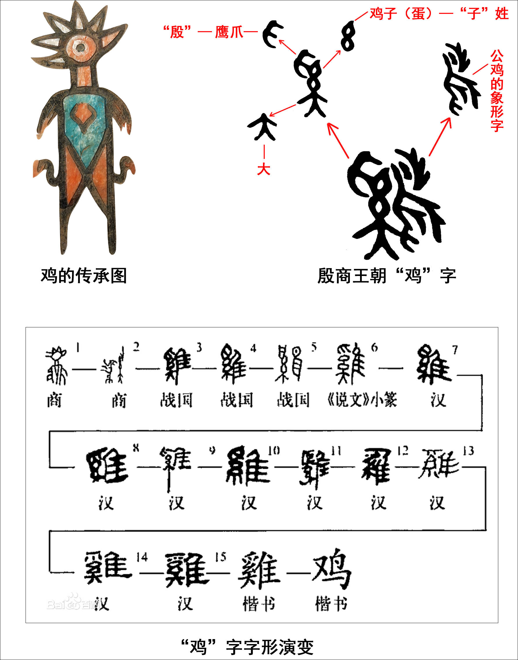 鸡字演变图片