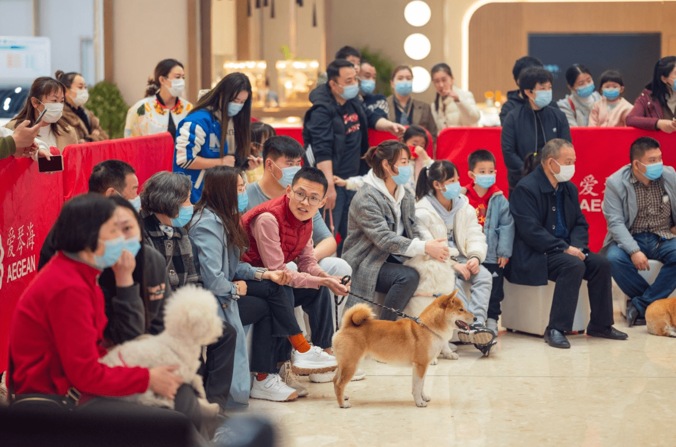 济宁高新区爱琴海购物公园宠物友好商场