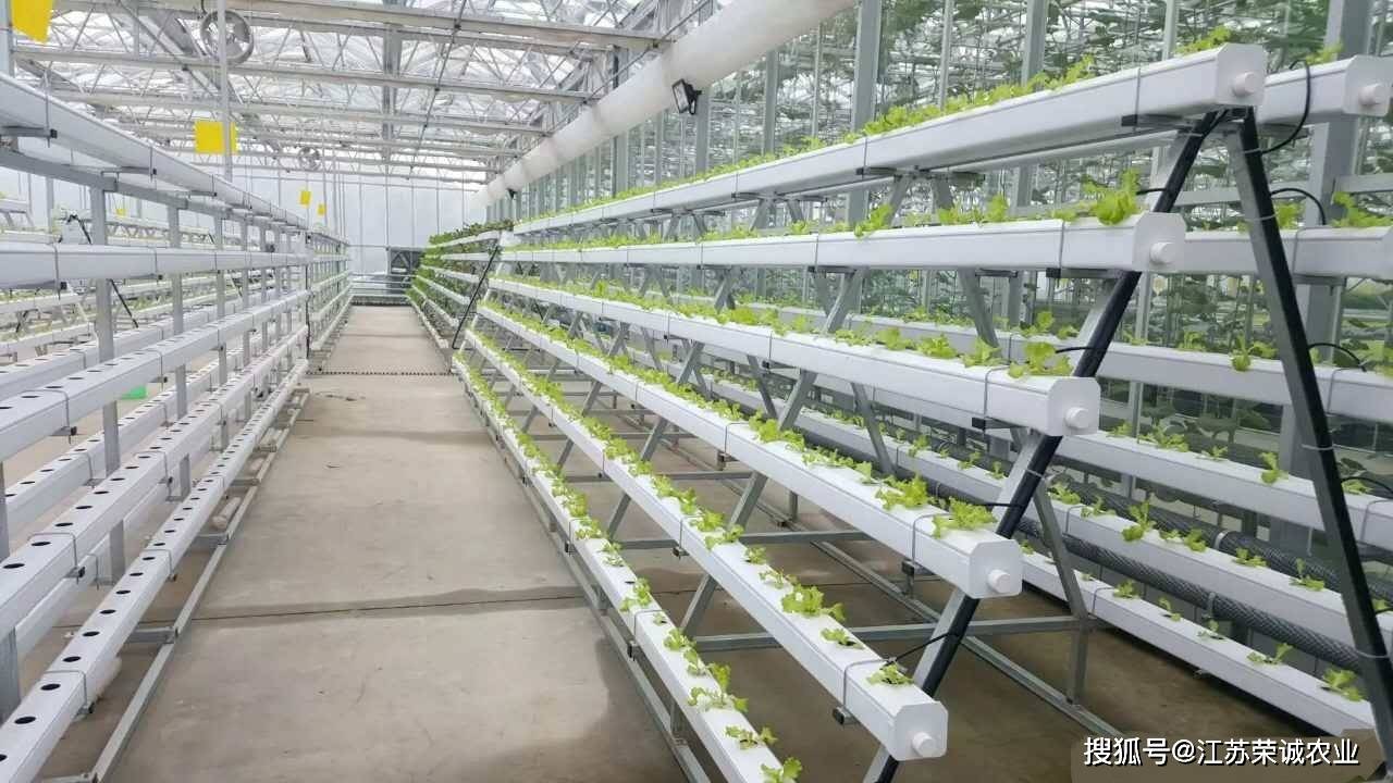 啥样的立体无土栽培设备才是你真正想要的?看这里_种植_植物_形态