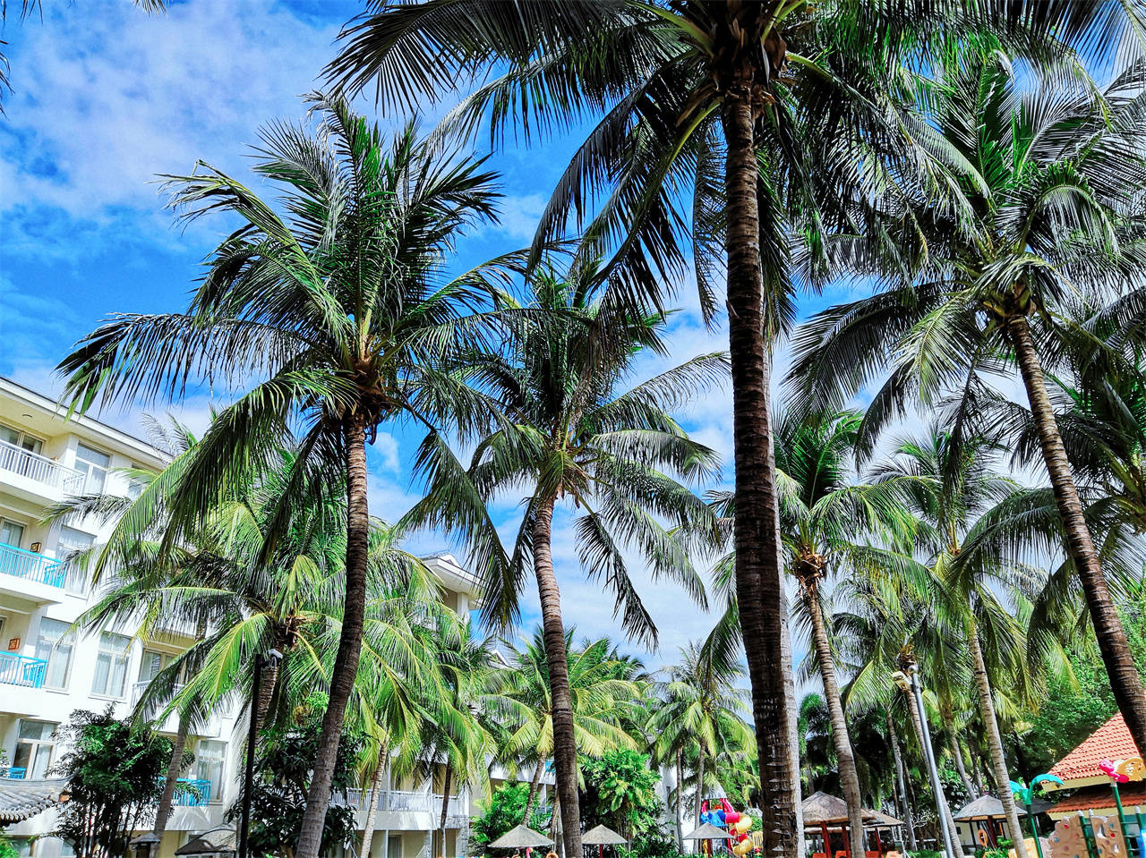 海底|三亚旅行丨亲子情侣值得拥有丨华宇迎宾馆