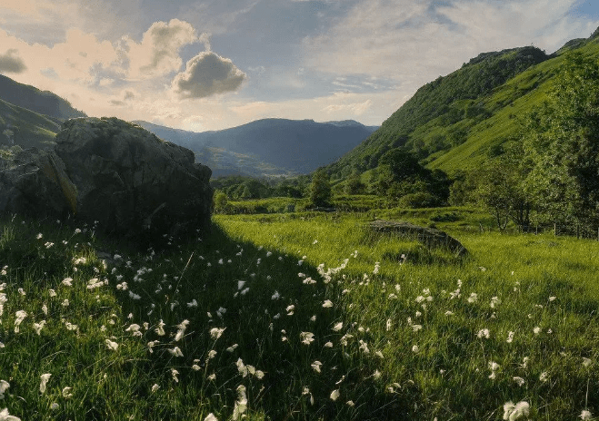 小白基础入门：什么是正财？