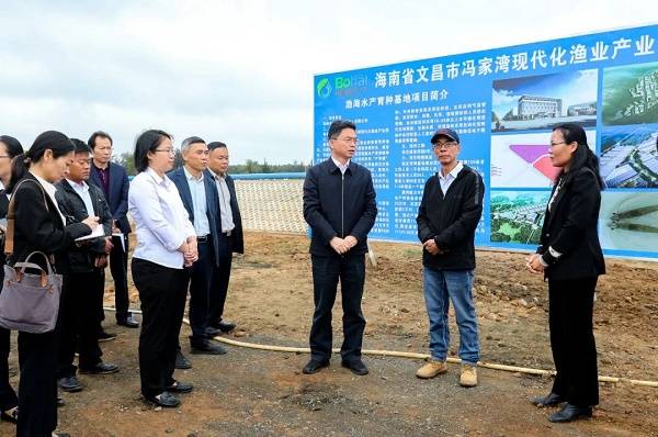 文昌市委书记龙卫东提高效率加快建设以绿色发展理念推动园区高质量